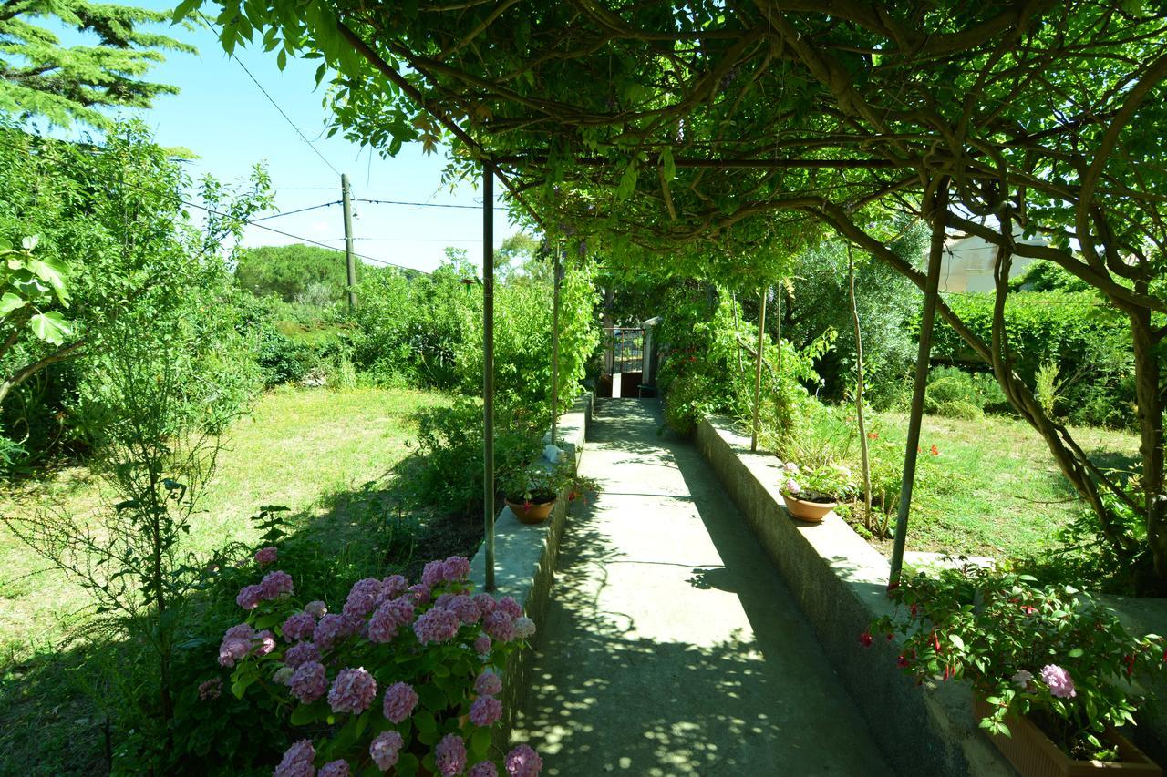 Apartment Renata Veli Lošinj Exterior foto